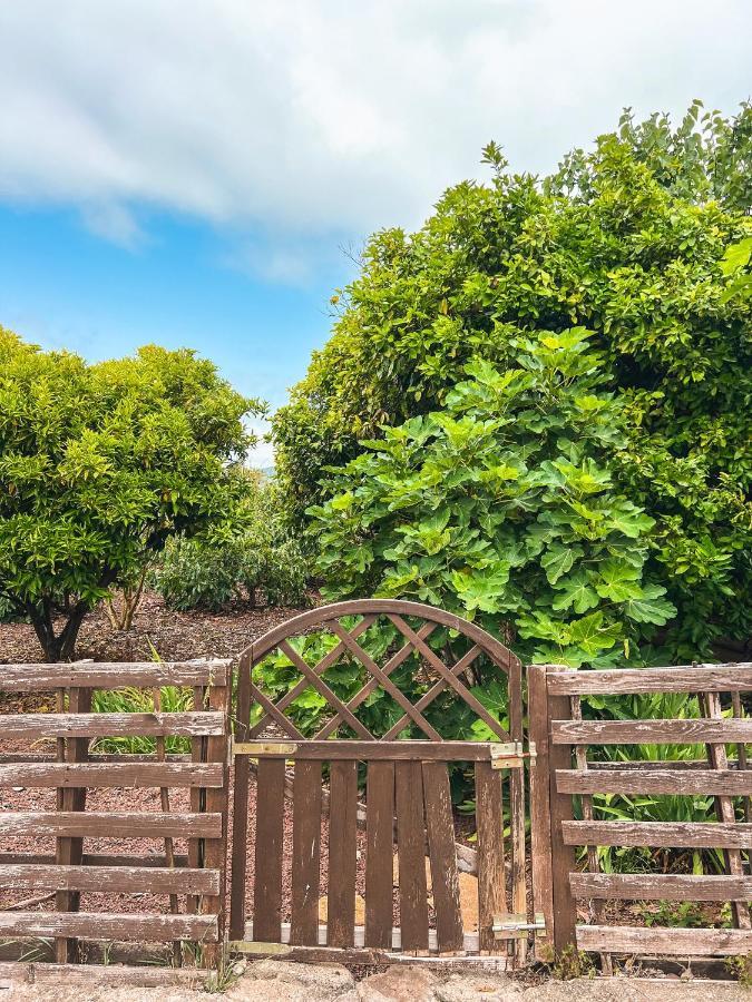 Sun-soaked W Patio, Balcony & Garden - Aguilas Vakantiehuis *