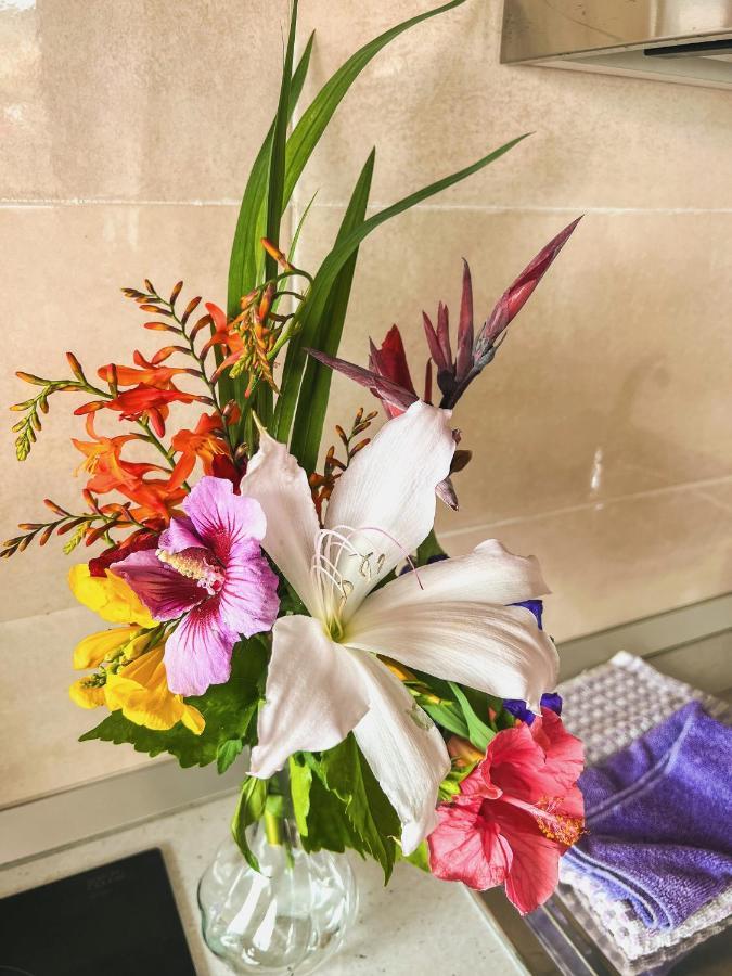 Sun-soaked W Patio, Balcony & Garden - Aguilas La Orotava